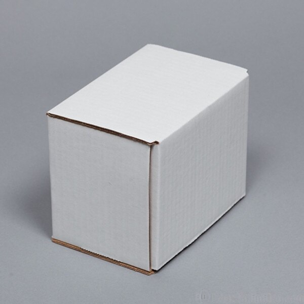 Corrugated cardboard mailer for 10